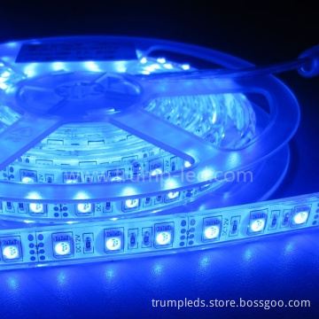 IP68B PU 24v Waterproof SMD 5050 LED Ribbon